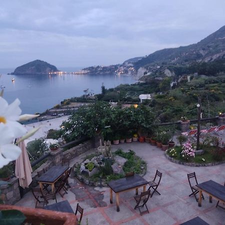 Casa Antonio Bed & Breakfast Barano dʼIschia Екстериор снимка