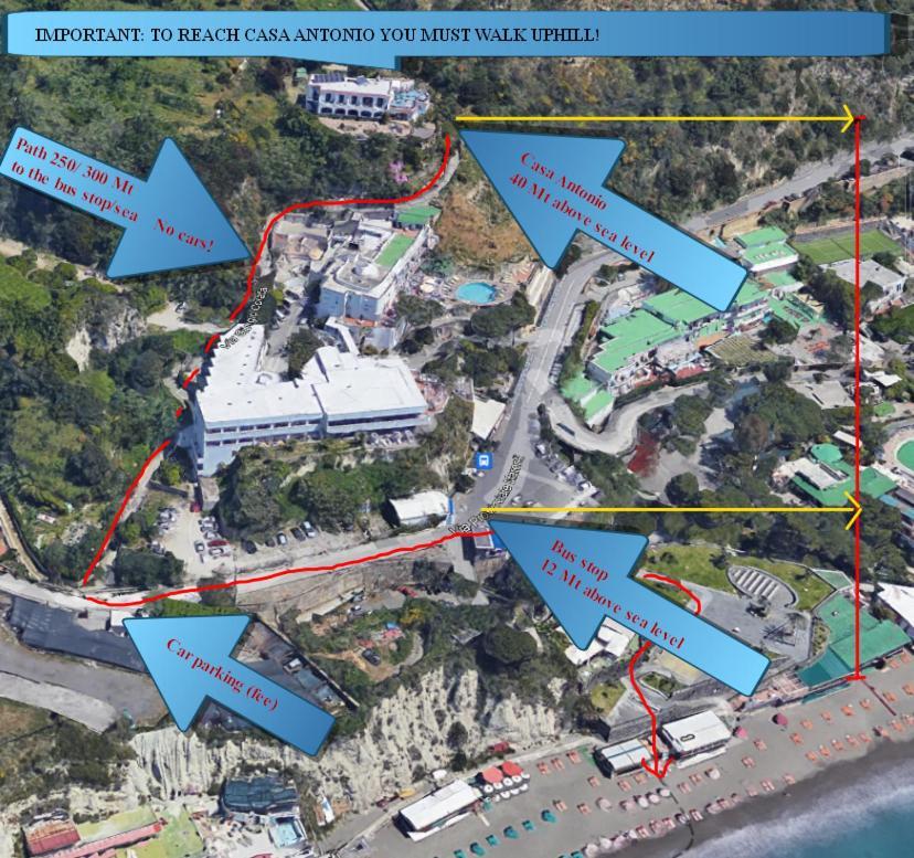 Casa Antonio Bed & Breakfast Barano dʼIschia Екстериор снимка