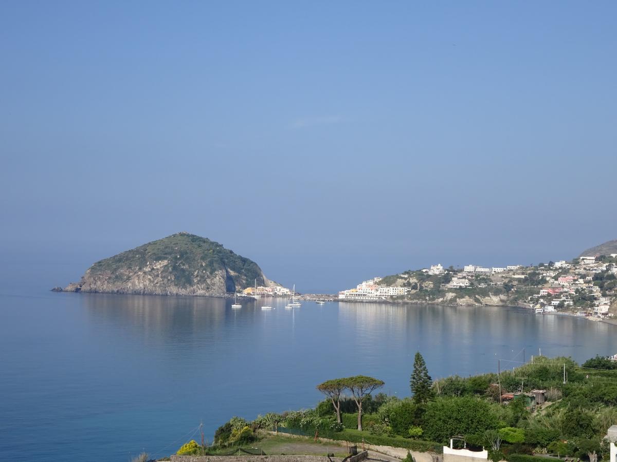 Casa Antonio Bed & Breakfast Barano dʼIschia Екстериор снимка